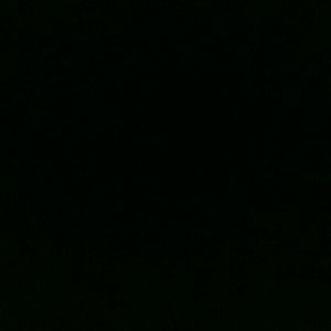 Meet your Posher, Paulina